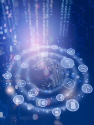 Network & Server Management